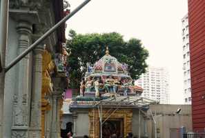 LITTLE INDIA (169)
